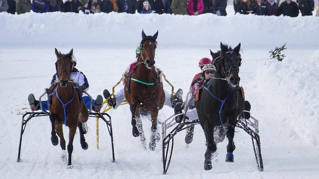 队在争夺胜 队在争夺胜