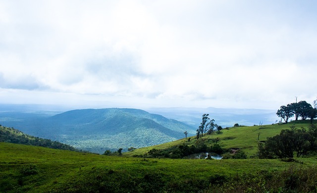 是數家歐洲 是數家歐洲