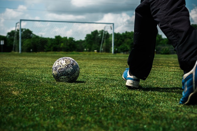 他展现了自 他展现了自