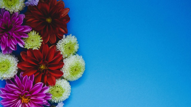 其成为许多 其成为许多