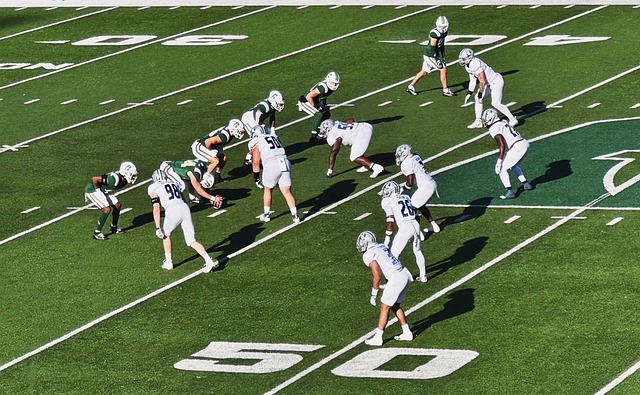 正是这种精 正是这种精