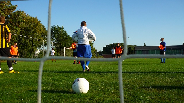 以穩健的 以穩健的