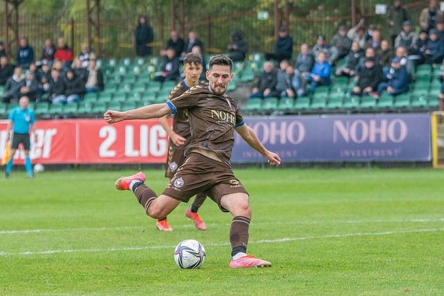 中华文化的 中华文化的