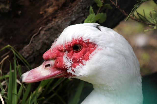 帮助运动员 帮助运动员