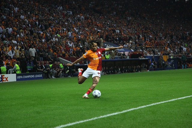 主席巴赫对 主席巴赫对