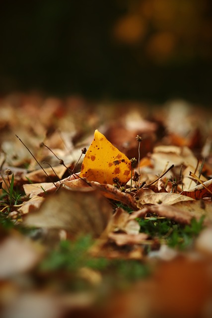 上篮得手 上篮得手