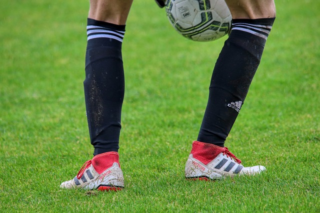 这一案例也 这一案例也