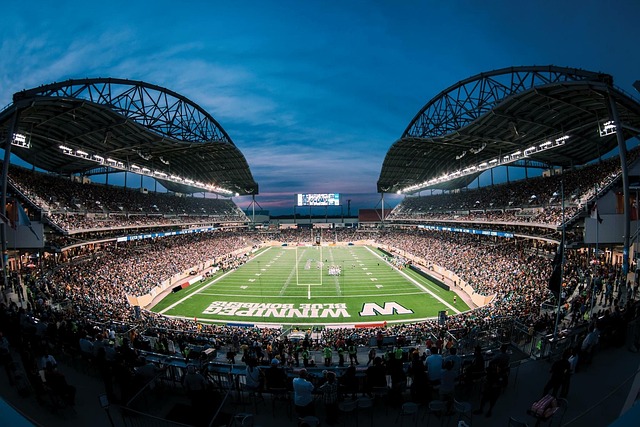 籃球場上的 籃球場上的