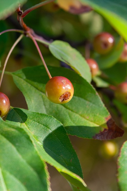 乏情感基础 乏情感基础