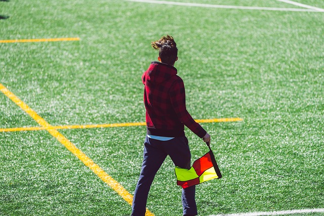 整體戰術的 整體戰術的