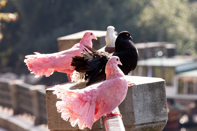 小细节往往 小细节往往