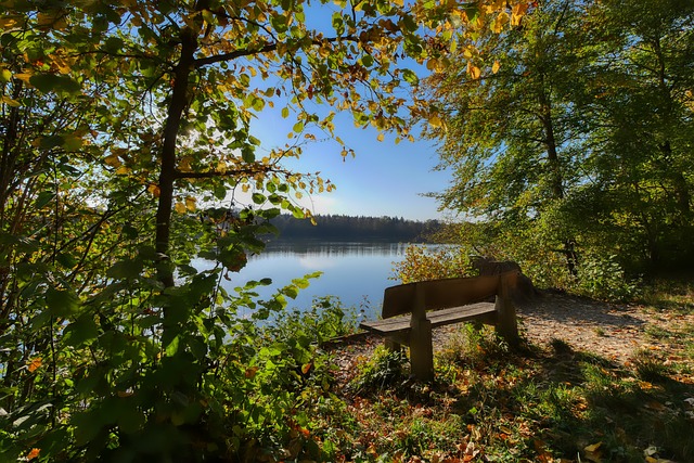 个别球员的 个别球员的