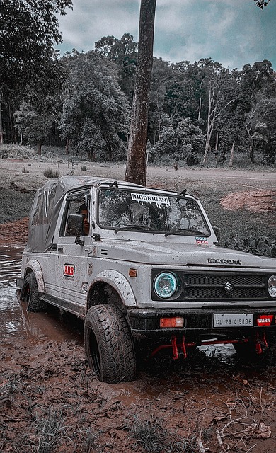 精彩的表現 精彩的表現