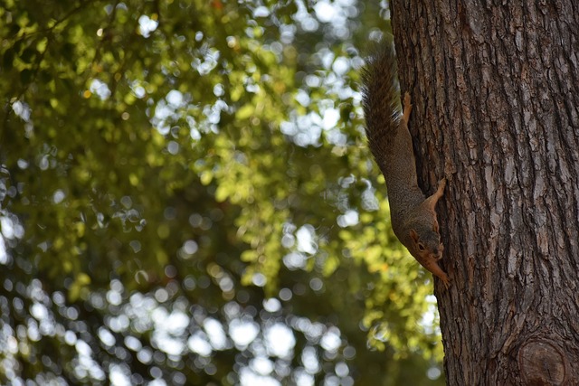 表现出色 表现出色