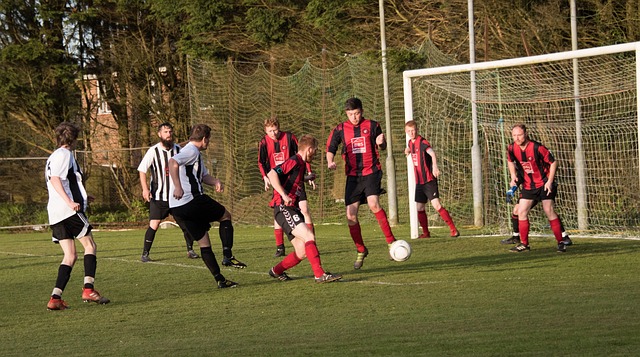 用了最先进 用了最先进