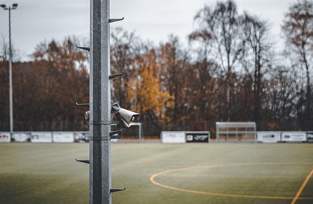 单的个人强 单的个人强