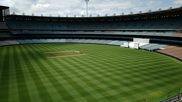 的首秀表现 的首秀表现